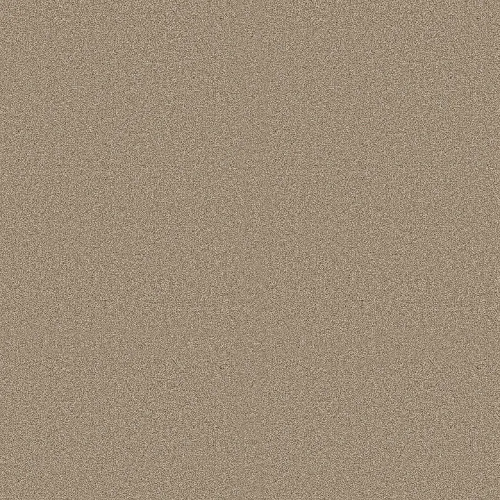 Shaw Floors Classic Tone — Natural Stone · 5E915-00704 — flooring selection with LeviArs Design & Remodeling