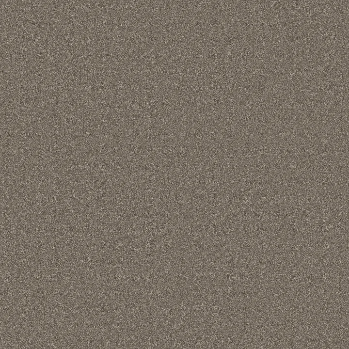 Shaw Floors Classic Tone — Night Owl · 5E915-00750 — flooring selection with LeviArs Design & Remodeling