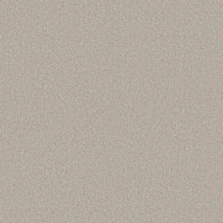 Shaw Floors Classic Tone Blue — Pebble Path · 5E936-00104 — flooring selection with LeviArs Design & Remodeling