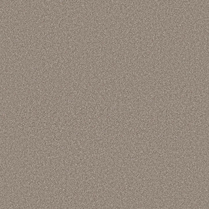 Shaw Floors Classic Tone — Ridgeline · 5E915-00701 — flooring selection with LeviArs Design & Remodeling