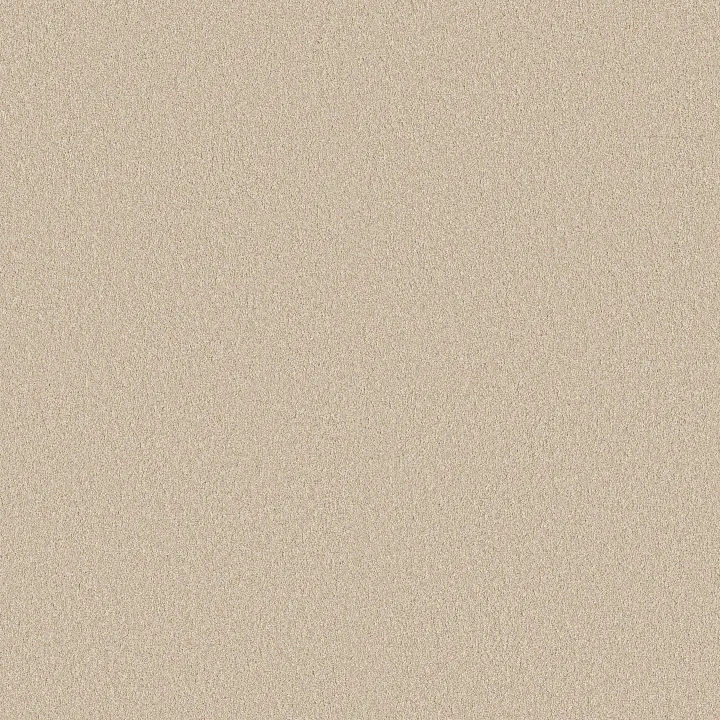 Shaw Floors Classic Tone Blue — Safari · 5E936-00110 — flooring selection with LeviArs Design & Remodeling