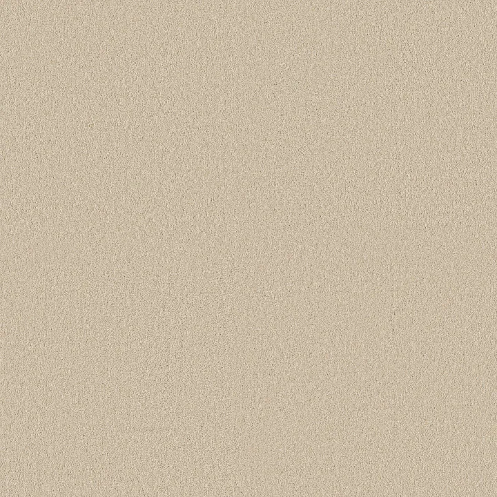 Shaw Floors Classic Tone Blue — Summertime · 5E936-00102 — flooring selection with LeviArs Design & Remodeling