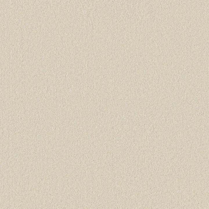 Shaw Floors Classic Tone Blue — Sweet Cream · 5E936-00100 — flooring selection with LeviArs Design & Remodeling