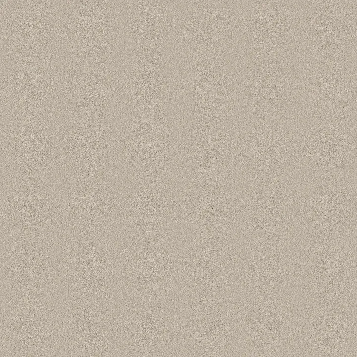 Shaw Floors Classic Tone Blue — Twilight Taupe · 5E936-00109 — flooring selection with LeviArs Design & Remodeling