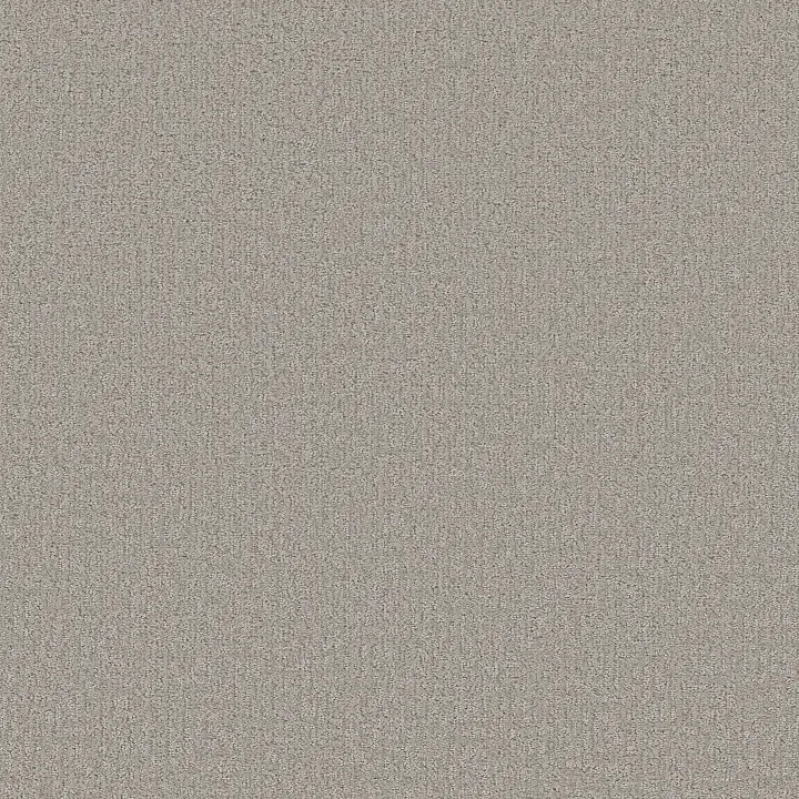Shaw Floors Clever Art — Gravity · 5E811-00556 — flooring selection with LeviArs Design & Remodeling