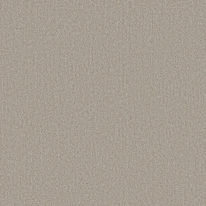 Shaw Floors Clever Art — Sculpture · 5E811-00115 — flooring selection with LeviArs Design & Remodeling