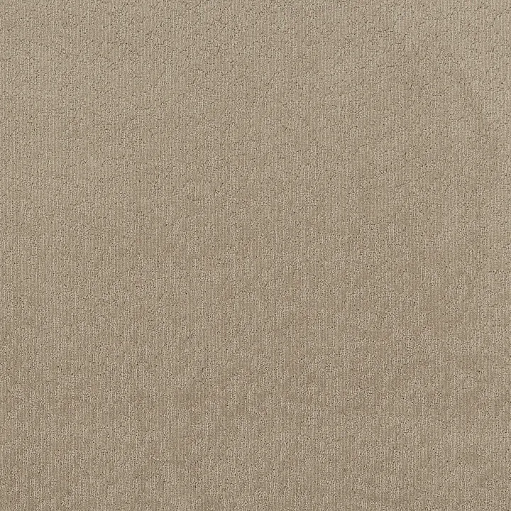 Shaw Floors Clever Blend — Cameo · 5E810-00113 — flooring selection with LeviArs Design & Remodeling
