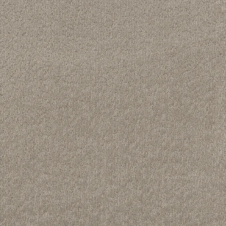 Shaw Floors Clever Blend — Chic Greige · 5E810-00111 — flooring selection with LeviArs Design & Remodeling