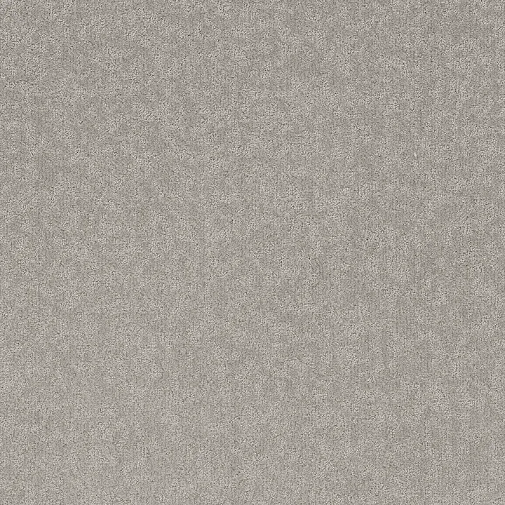 Shaw Floors Clever Blend — Gravity · 5E810-00556 — flooring selection with LeviArs Design & Remodeling