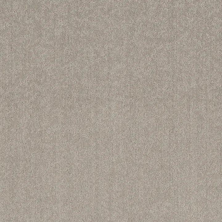 Shaw Floors Clever Blend — Sculpture · 5E810-00115 — flooring selection with LeviArs Design & Remodeling