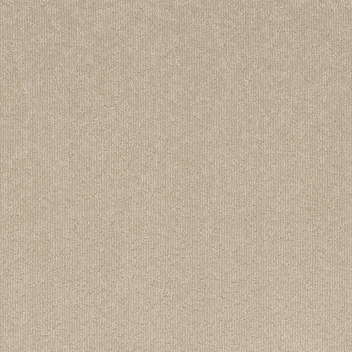 Shaw Floors Clever Blend — Warm Light · 5E810-00116 — flooring selection with LeviArs Design & Remodeling