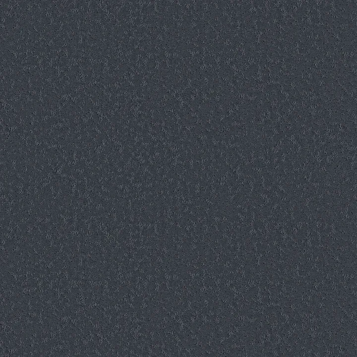 Shaw Floors Clever Choice — Deep Atlantic · 5E808-00402 — flooring selection with LeviArs Design & Remodeling