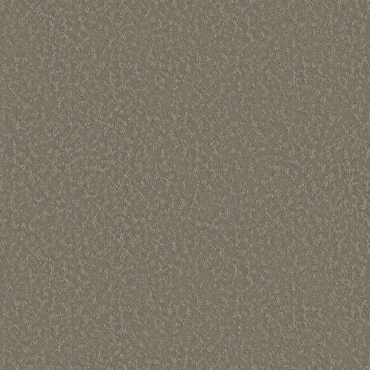 Shaw Floors Clever Choice — Fallen Acorn · 5E808-00501 — flooring selection with LeviArs Design & Remodeling