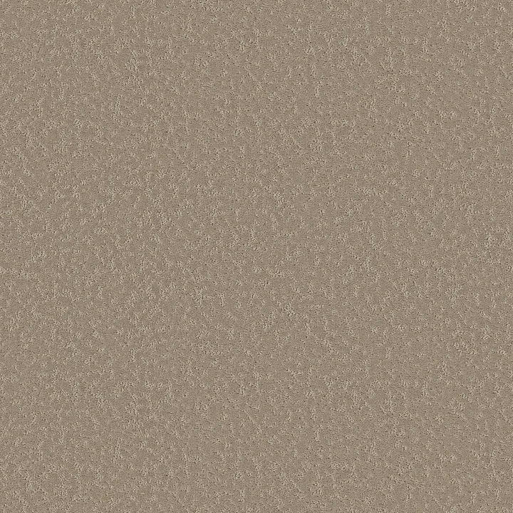 Shaw Floors Clever Choice — Kindling · 5E808-00113 — flooring selection with LeviArs Design & Remodeling
