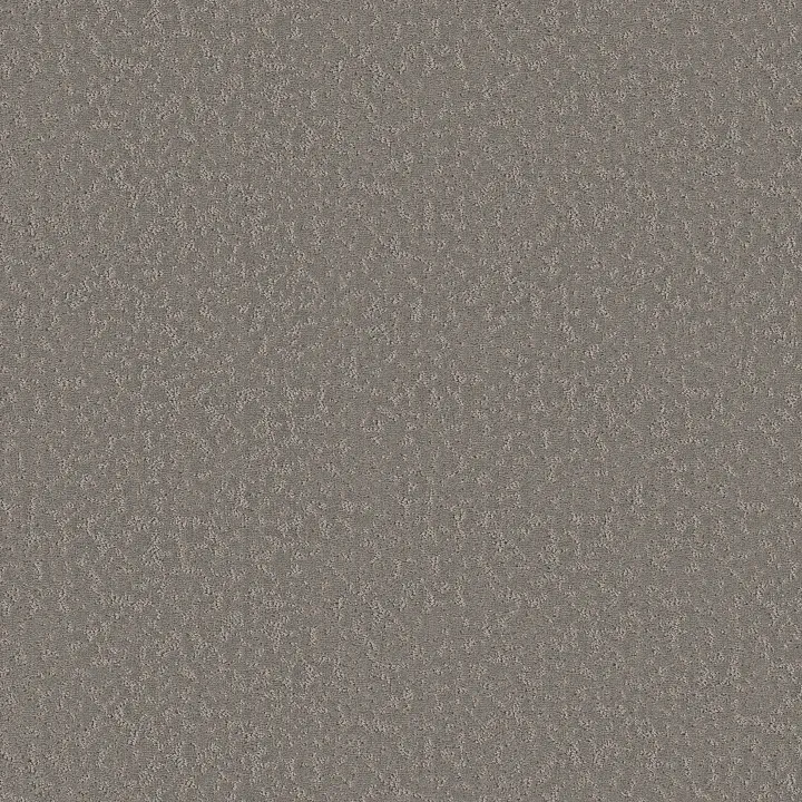Shaw Floors Clever Choice — Lunar Haze · 5E808-00509 — flooring selection with LeviArs Design & Remodeling