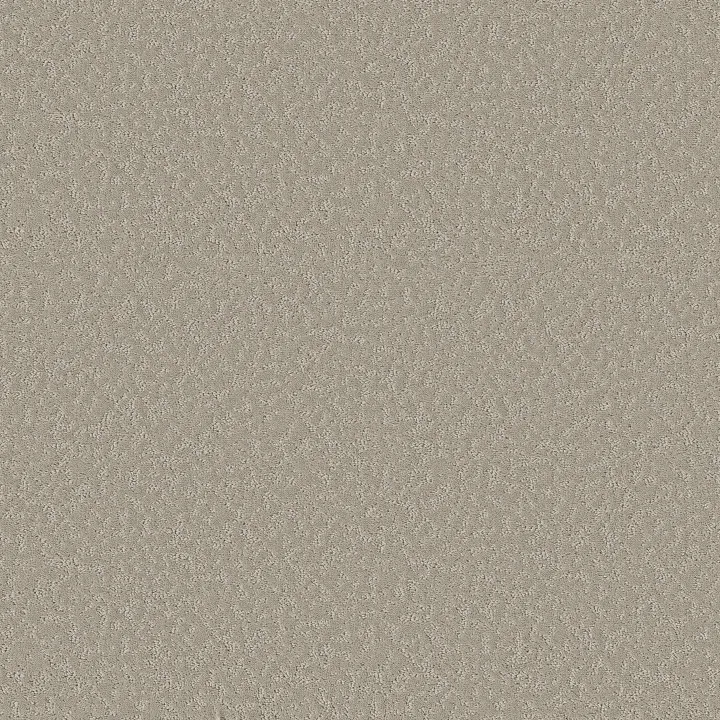Shaw Floors Clever Choice — Sandstone · 5E808-00115 — flooring selection with LeviArs Design & Remodeling