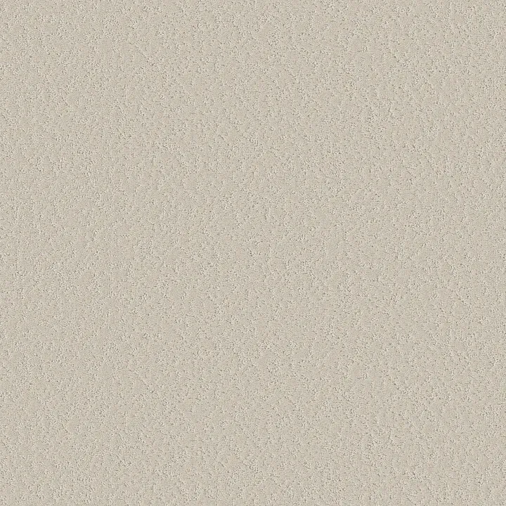 Shaw Floors Clever Choice — Scotch Mist · 5E808-00109 — flooring selection with LeviArs Design & Remodeling