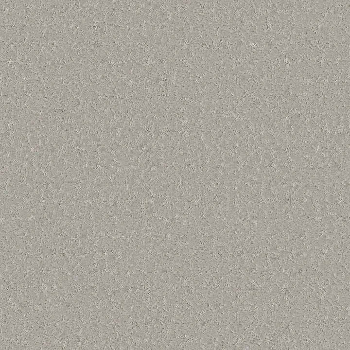 Shaw Floors Clever Choice — Sterling · 5E808-00556 — flooring selection with LeviArs Design & Remodeling