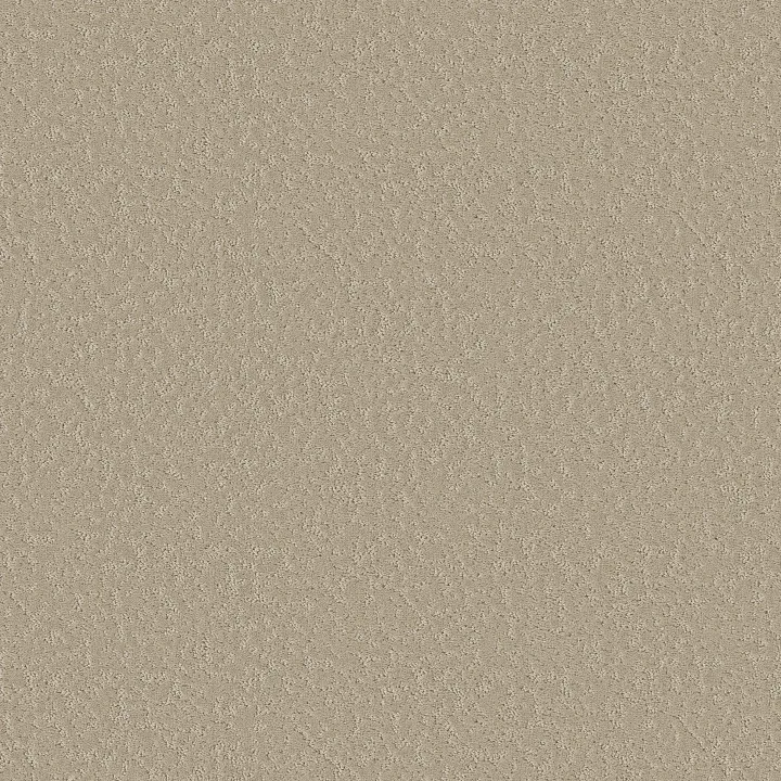 Shaw Floors Clever Choice — Twine · 5E808-00100 — flooring selection with LeviArs Design & Remodeling