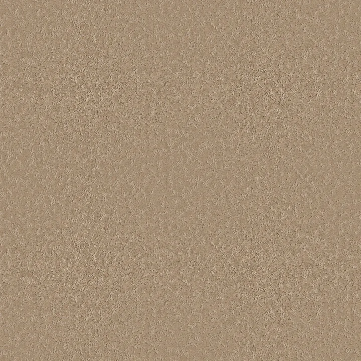 Shaw Floors Clever Choice — Worn Path · 5E808-00700 — flooring selection with LeviArs Design & Remodeling