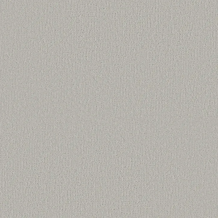 Shaw Floors Clever Design — Forest Fog · 5E809-00107 — flooring selection with LeviArs Design & Remodeling