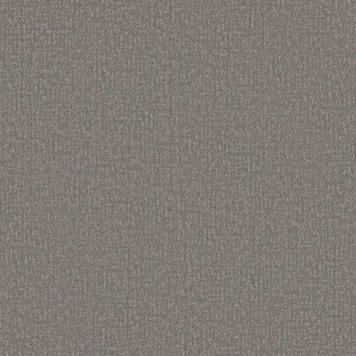 Shaw Floors Clever Design — Lunar Haze · 5E809-00509 — flooring selection with LeviArs Design & Remodeling