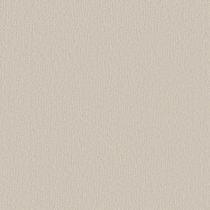 Shaw Floors Clever Design — Scotch Mist · 5E809-00109 — flooring selection with LeviArs Design & Remodeling