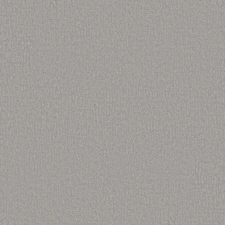 Shaw Floors Clever Design — Sterling · 5E809-00556 — flooring selection with LeviArs Design & Remodeling