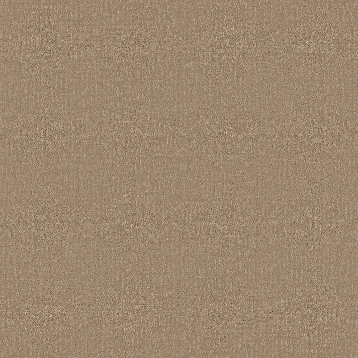 Shaw Floors Clever Design — Worn Path · 5E809-00700 — flooring selection with LeviArs Design & Remodeling
