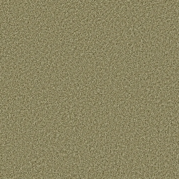 Shaw Floors Color Flair — Citrus Splash · E0852-00300 — flooring selection with LeviArs Design & Remodeling
