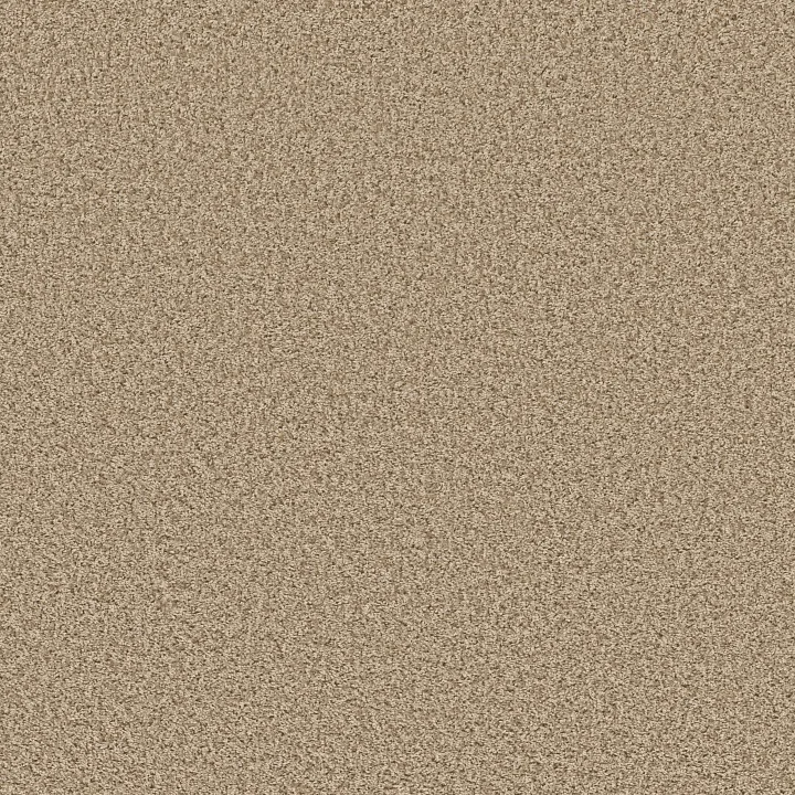 Shaw Floors Color Flair — Cornmeal · E0852-00103 — flooring selection with LeviArs Design & Remodeling