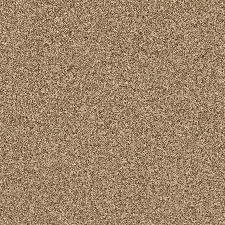 Shaw Floors Color Flair — Honey Butter · E0852-00700 — flooring selection with LeviArs Design & Remodeling