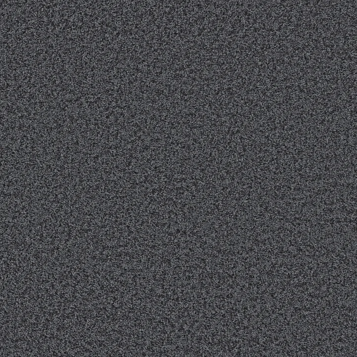 Shaw Floors Color Flair — Ink Jet · E0852-00401 — flooring selection with LeviArs Design & Remodeling