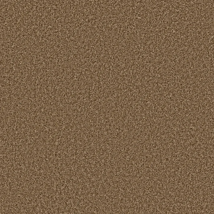 Shaw Floors Color Flair — Log Cabin · E0852-00703 — flooring selection with LeviArs Design & Remodeling