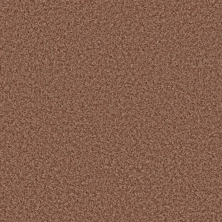 Shaw Floors Color Flair — Summer Coral · E0852-00600 — flooring selection with LeviArs Design & Remodeling