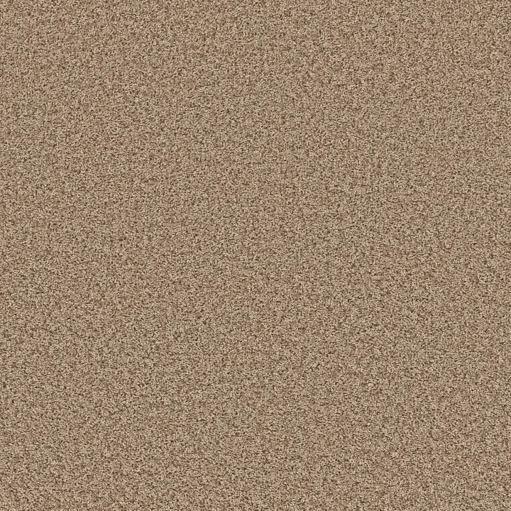 Shaw Floors Color Flair — Toast · E0852-00702 — flooring selection with LeviArs Design & Remodeling