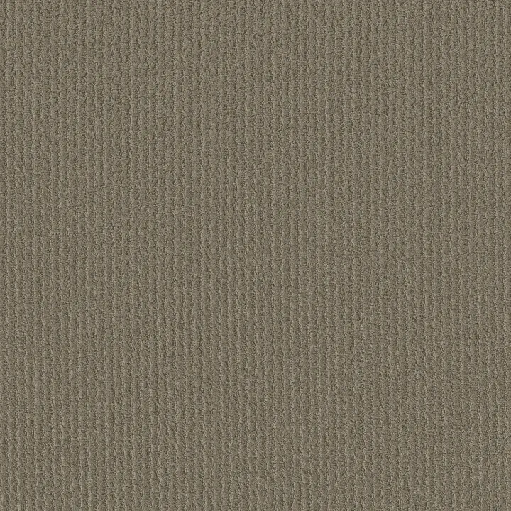 Shaw Floors Complete Control — Abbey Stone · E9722-00771 — flooring selection with LeviArs Design & Remodeling