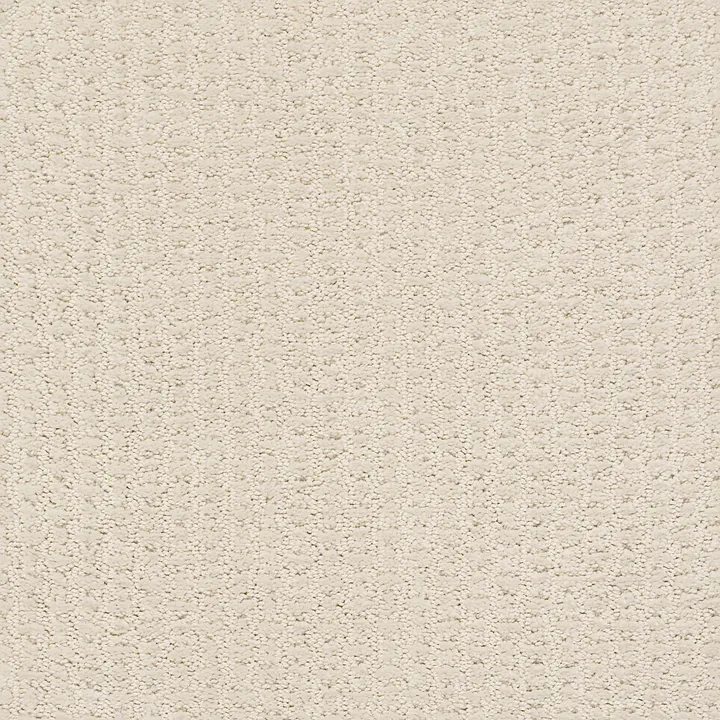 Shaw Floors Complete Control — Alabaster · E9722-00172 — flooring selection with LeviArs Design & Remodeling