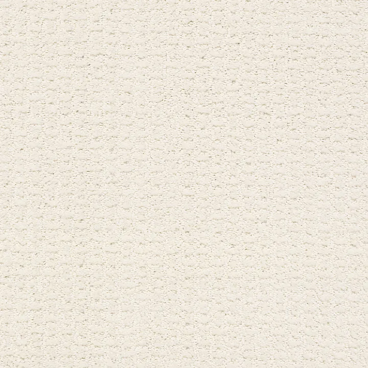Shaw Floors Complete Control — Crisp Linen · E9722-00171 — flooring selection with LeviArs Design & Remodeling