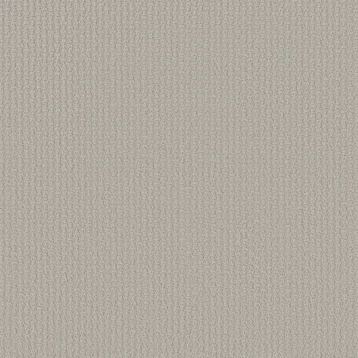 Shaw Floors Complete Control — Etched Glass · E9722-00576 — flooring selection with LeviArs Design & Remodeling