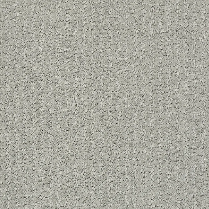 Shaw Floors Complete Control — Offshore Mist · E9722-00477 — flooring selection with LeviArs Design & Remodeling