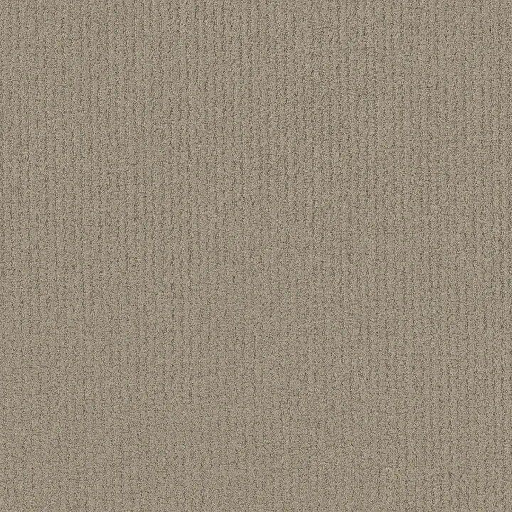 Shaw Floors Complete Control — Park Avenue · E9722-00770 — flooring selection with LeviArs Design & Remodeling