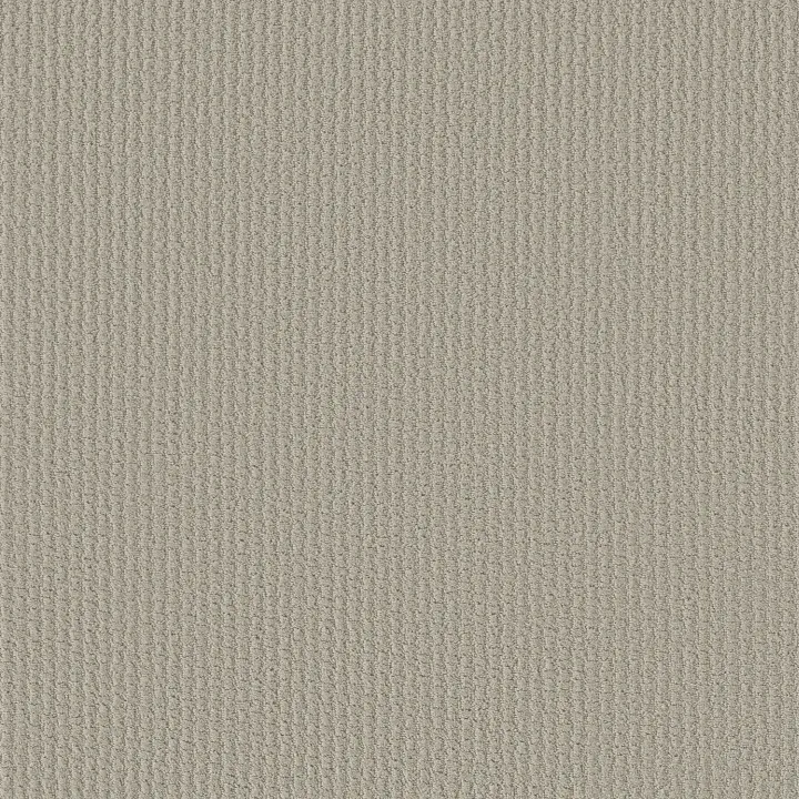 Shaw Floors Complete Control — Quiet Moment · E9722-00175 — flooring selection with LeviArs Design & Remodeling