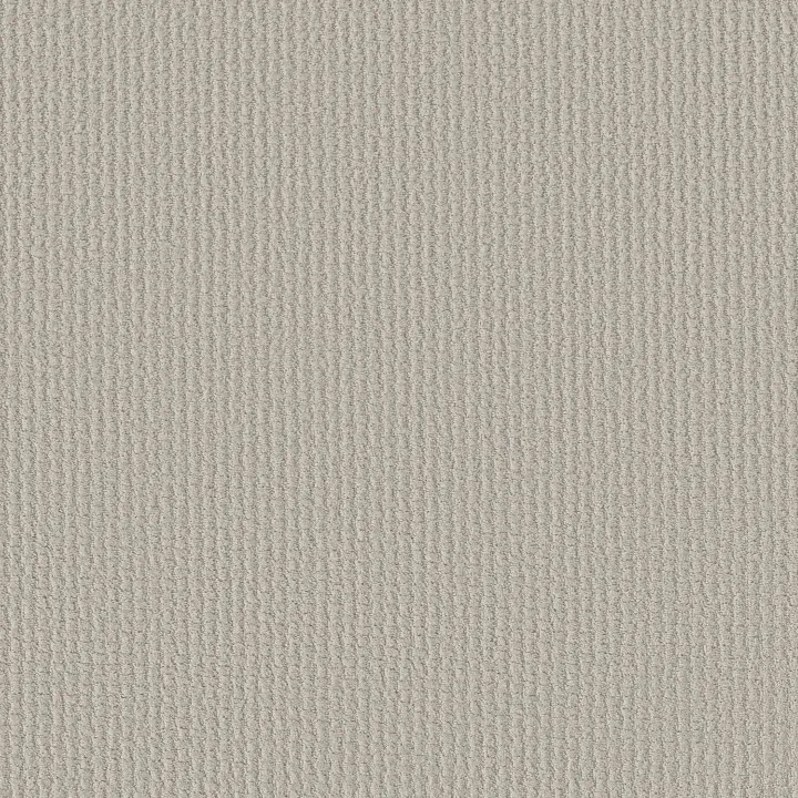 Shaw Floors Complete Control — Rock Crystal · E9722-00574 — flooring selection with LeviArs Design & Remodeling