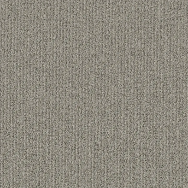 Shaw Floors Complete Control — Silhouette · E9722-00570 — flooring selection with LeviArs Design & Remodeling