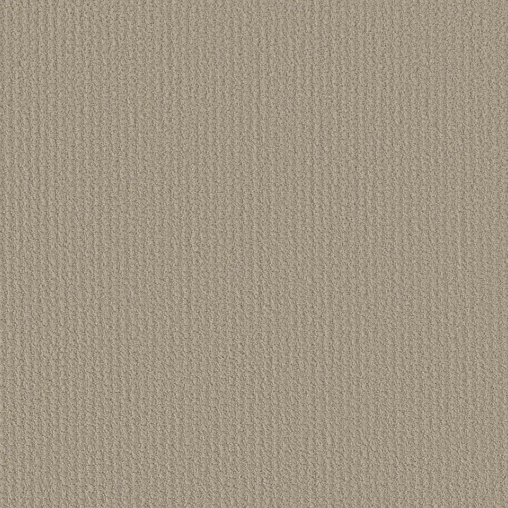 Shaw Floors Complete Control — Studio Taupe · E9722-00173 — flooring selection with LeviArs Design & Remodeling