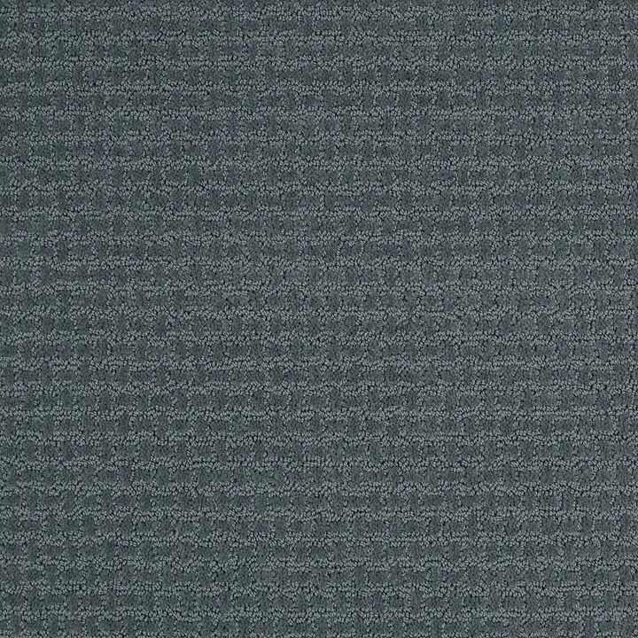 Shaw Floors Complete Control — Voyage · E9722-00480 — flooring selection with LeviArs Design & Remodeling