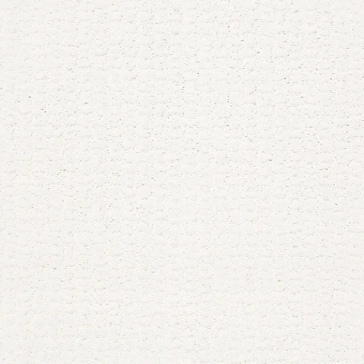 Shaw Floors Complete Control — White Hot · E9722-00170 — flooring selection with LeviArs Design & Remodeling