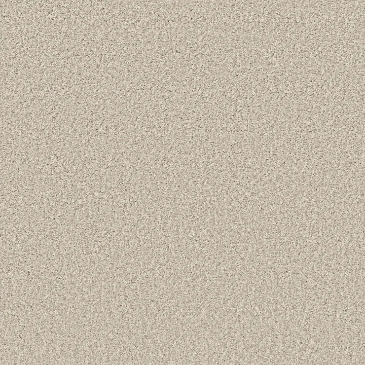 Shaw Floors Cool Flair — Bufftone · E9964-00113 — flooring selection with LeviArs Design & Remodeling