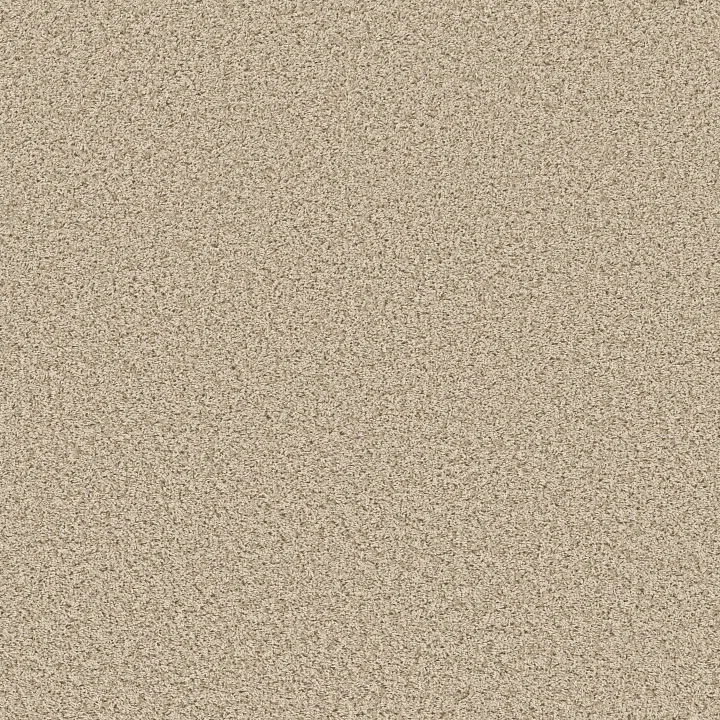 Shaw Floors Cool Flair — Dandelion · E9964-00102 — flooring selection with LeviArs Design & Remodeling